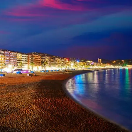 In - 104836 By Mo Lloret de Mar